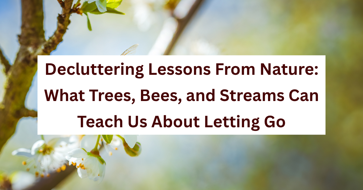 Decluttering Lessons From Nature: What Trees, Bees, and Streams Can Teach Us About Letting Go