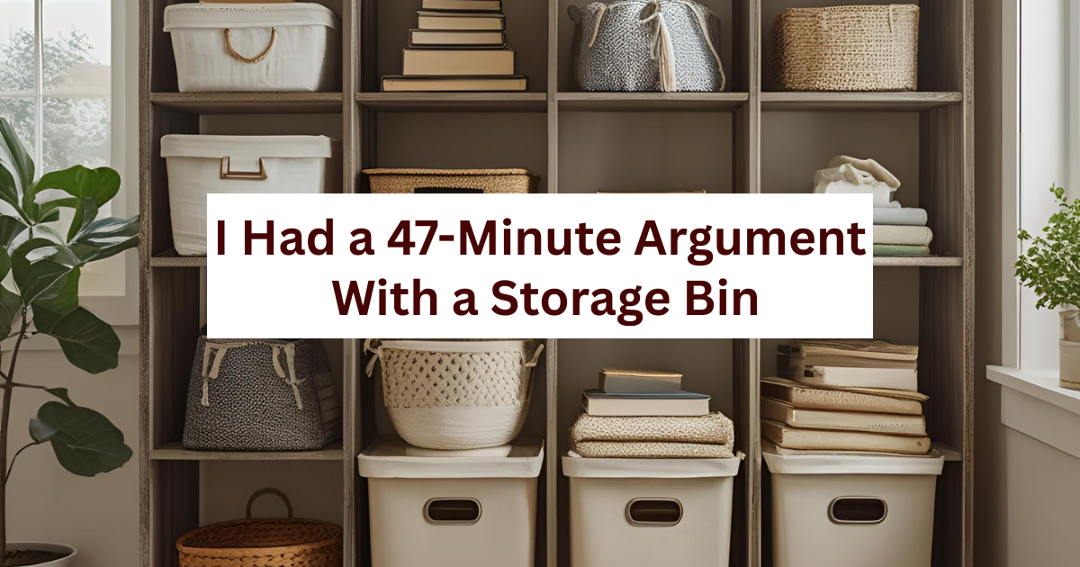 I Had a 47-Minute Argument With a Storage Bin 